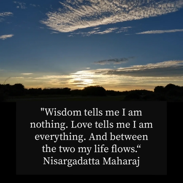 "Wisdom tells me I am nothing. Love tells me I am everything. And between the two my life flows.“
Nisargadatta Maharaj
#wisdom #progressivechristianity #quotestoliveby #quoteoftheday #quotestagram #quotesaboutlife #contemplation #yoga #photography #photographyeveryday #artist #contemporaryart 