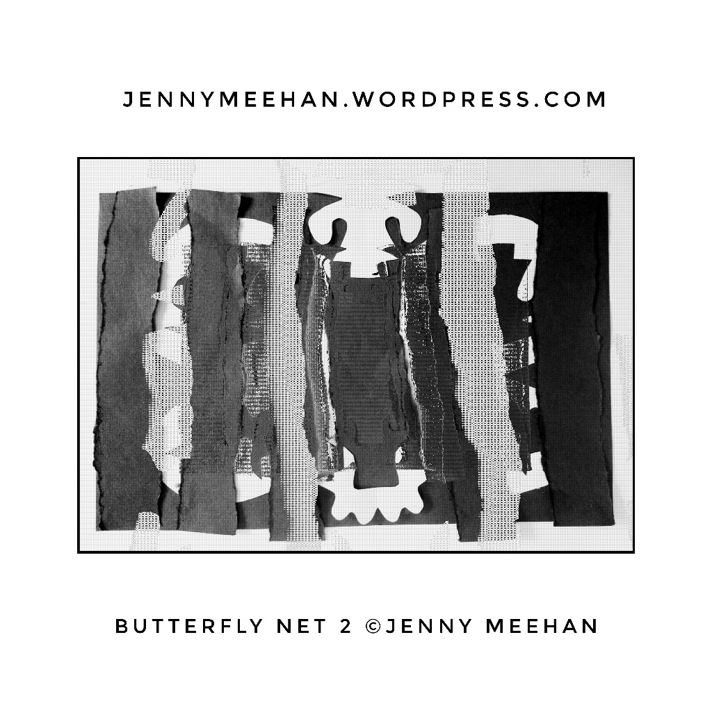 Butterfly net 2 by Jenny Meehan 